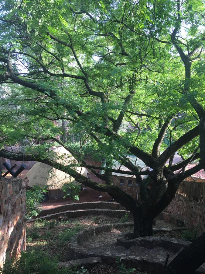 كروغيرسدورب Rain Forest Boutique Camp المظهر الخارجي الصورة