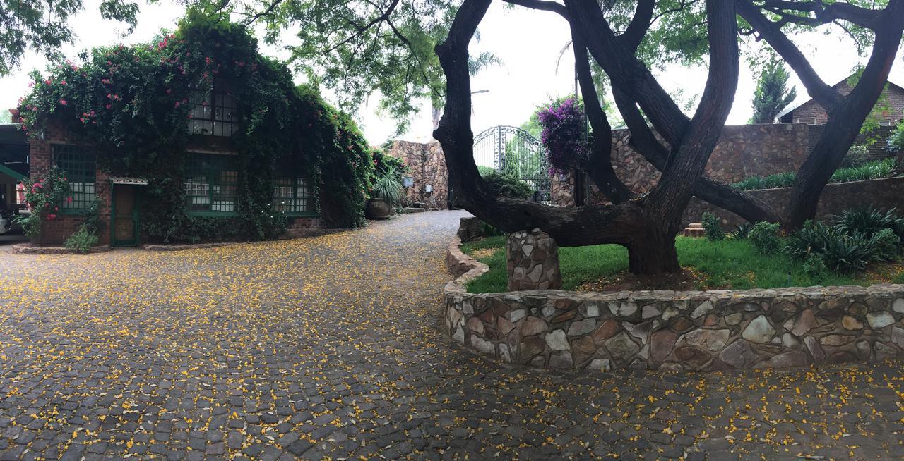 كروغيرسدورب Rain Forest Boutique Camp المظهر الخارجي الصورة