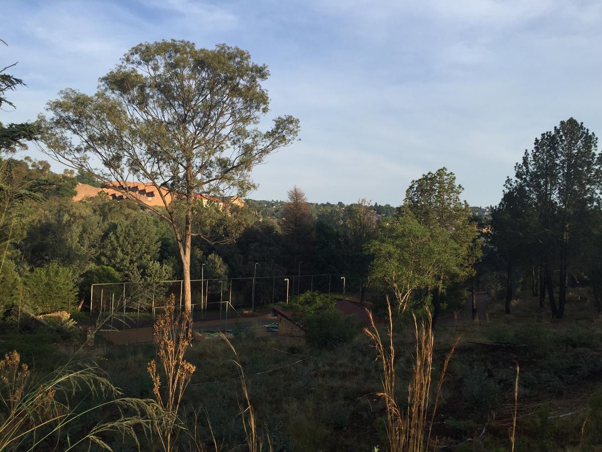 كروغيرسدورب Rain Forest Boutique Camp المظهر الخارجي الصورة