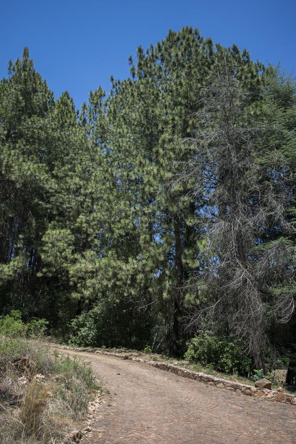 كروغيرسدورب Rain Forest Boutique Camp المظهر الخارجي الصورة